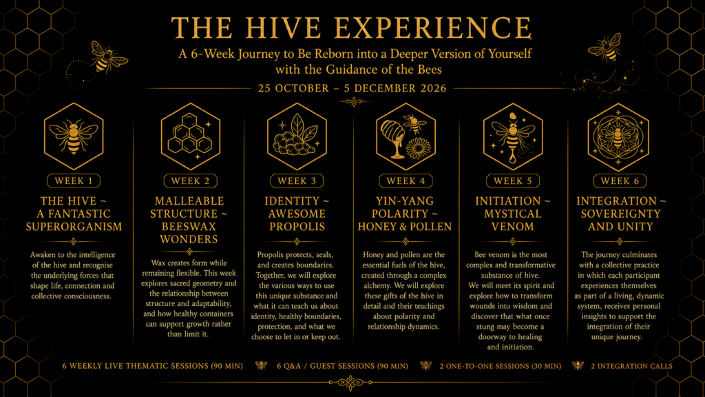 Hive_Exp_Programme2